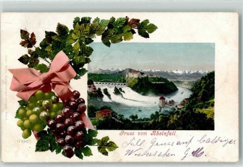 8212 Neuhausen am Rheinfall 1904 - Traubenranke