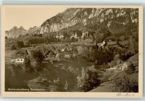 8881 Walenstadtberg - Sanatorium