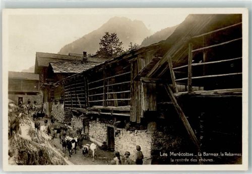 Salvan les Marecottes la Barmaz la Rebarmaz Ziegen
