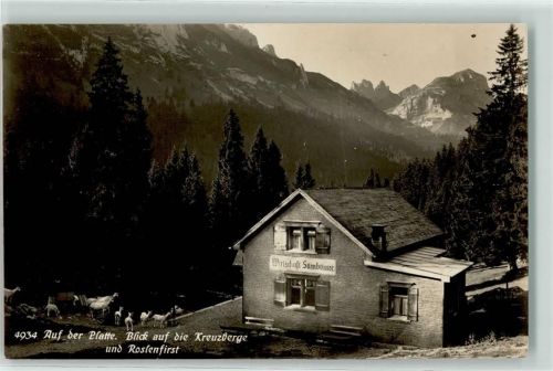 Weissbad auf der Platte Blick auf die Kreuzberge und Rosenfirst Ziegen Gasthaus Sämbtissee