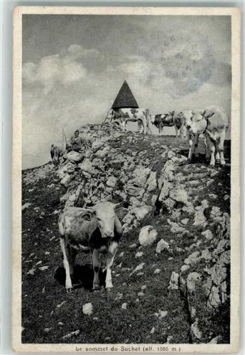Le Vaud der Gipfel von Suchet Viehherde