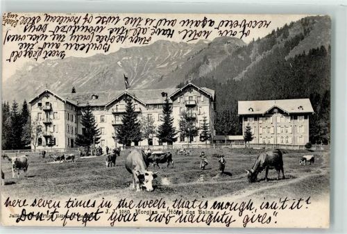 Morgins Hotel des Bains Rindvieh