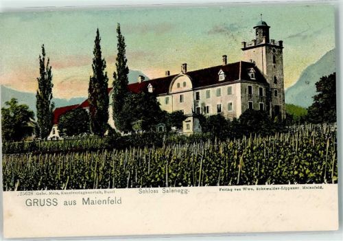 Maienfeld 1903 Schloss Salenegg
