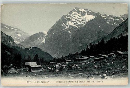 Amsteg im Maderanertal Stössenalp Hotel Alpenklub und Düssistock Kühe