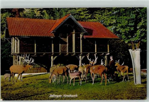 Zofingen 1914 Hirschpark