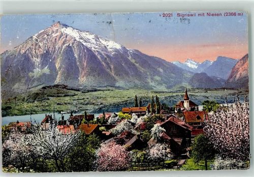 Sigriswil 1914 Niesen Bäume im Blust