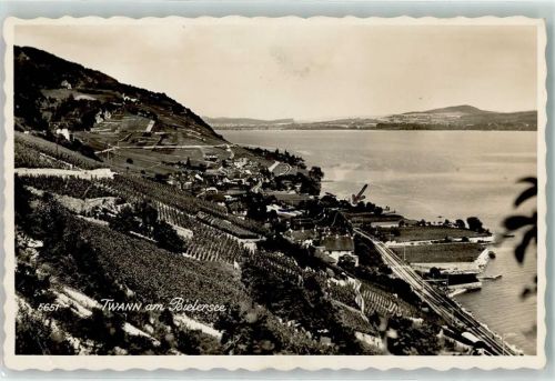 Twann Bielersee Rebberg