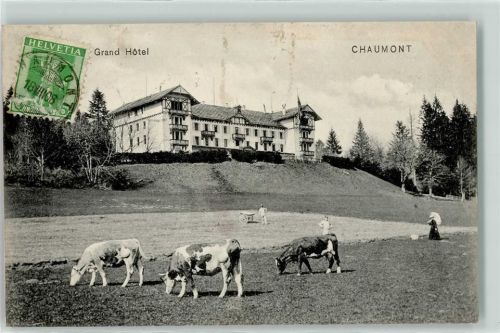 Chaumont 1908 Grand Hotel Kuhherde