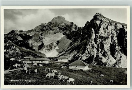 Zweisimmen Frohmatt Kuhherde