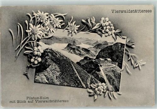 Pilatus Kulm Mit Edelweissranken
