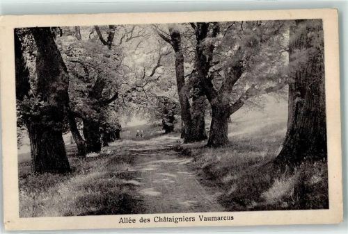 Vaumarcus Allee des Chataignieres