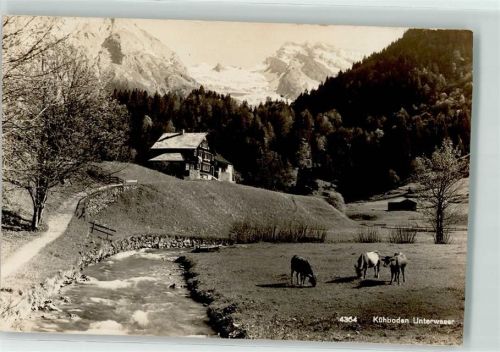 9657 Unterwasser - Kuhboden