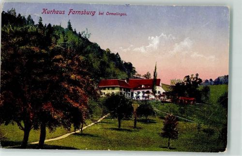 4466 Ormalingen 1917 - Kurhaus Farnsburg