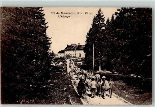 Col du Marchairuz L Alpage