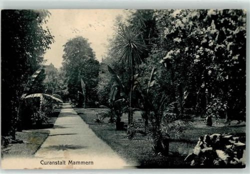 8265 Mammern 1916 - Kuranstalt