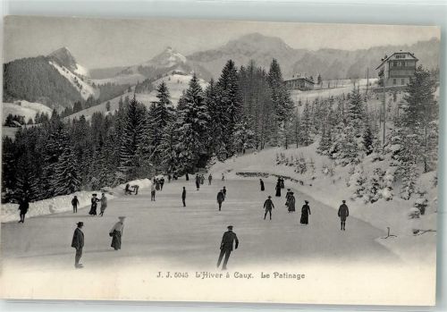 Caux Le Platinage Winter Schlittschuhläufer