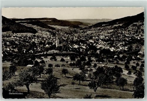 4460 Gelterkinden Foto AK