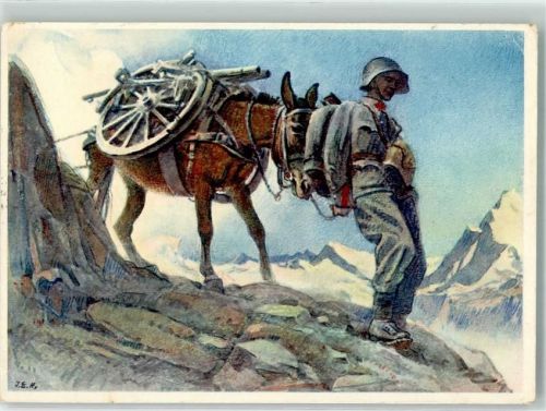 Grenchen Feldpost Schweiz Geb.-Art. Radtier Esel Ort lt. Stempel