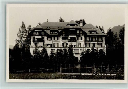 Gstaad Park Hotel, Verlag S G,gute Erhaltung AK