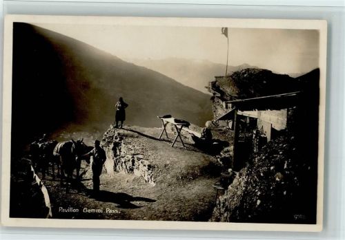 Gemmipass Wallis Berghütte mit Esel u. Führer, gute Erhaltung AK