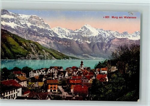 8877 Murg 1915 - Teilansicht mit Walensee,gute Erhaltung AK
