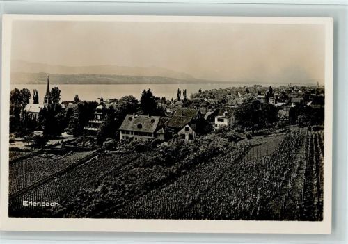 Erlenbach ZH Vue generale, Verlag Guggenheim Nr. 17541A, sehr gute Erhaltung AK