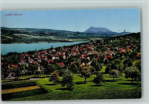 Beinwil am See 1933 Vue generale, gute Erhaltung AK