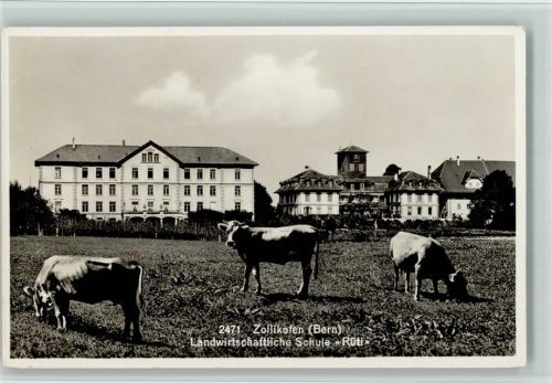 Zollikofen 1935 Landwirtschaft Schule "Rüti", gute Erhaltung AK
