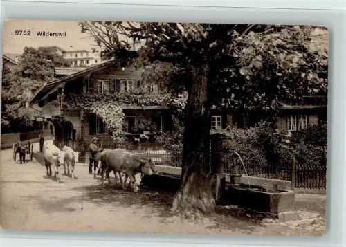 Wilderswil Straßenbild, Quellbrunnen, Viehtränke, gute Erhaltung AK
