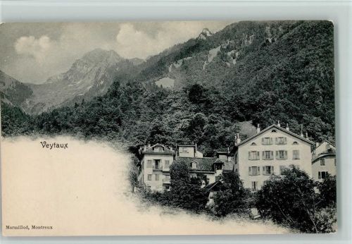 Veytaux Teilansicht, 1898 gute Erhaltung AK