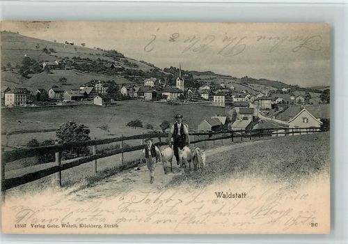 Waldstatt 1904 Nr. 12537 Verlag Wehrli - gute Erhaltung AK