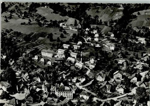9445 Rebstein 1964 - Luftbild Foto Gross F 4186