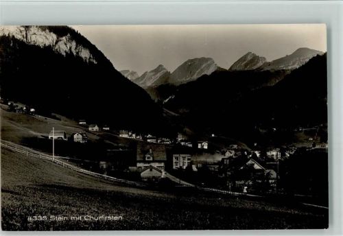 9655 Stein SG 1923 Foto AK Teilansicht - Verlag Frei & Co 4335 AK