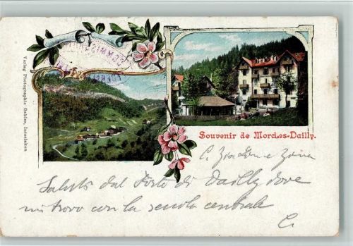 Morcles 1903 Hotel, Teilansicht