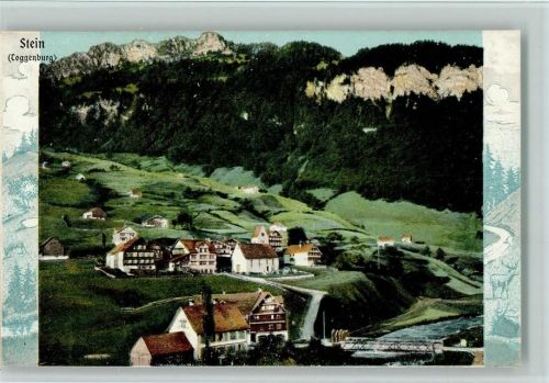 9655 Stein SG - Toggenburg - Teilansicht , Erhaltung I AK