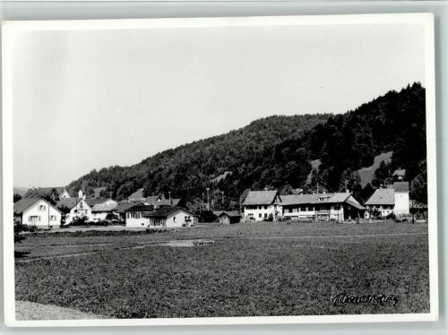 Bauma