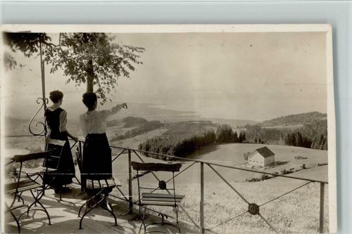 Rehetobel 1921 Gasthaus z. Gupf Aussicht auf den Bodensee