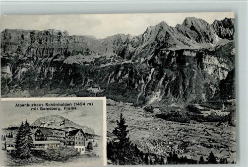 8890 Flums 1917 - Alpenkurhaus Schönhalden mit Gamsberg