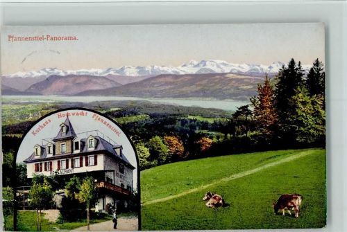 Pfannenstiel Kurhaus Hochwacht Rinderweide Zürichsee Alpen