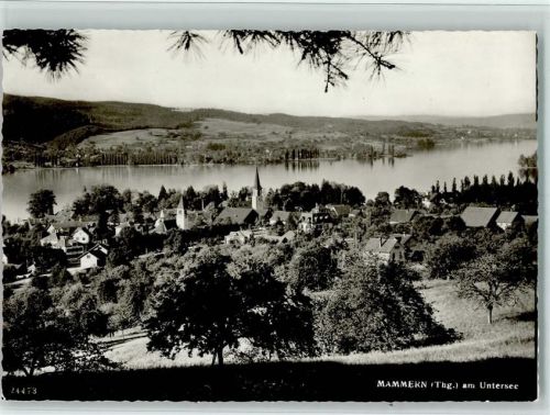 8265 Mammern 1974 Foto AK Foto Gross 24473 - Kuranstalt AK