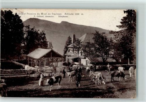 Baulmes Chalet Pension - Bauern mit ihren Kühen