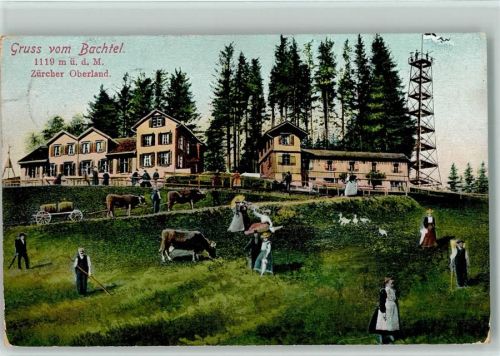 Bachtel Zürcher Oberland Kühe