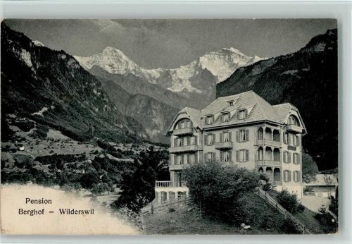 Wilderswil Pension Berghof