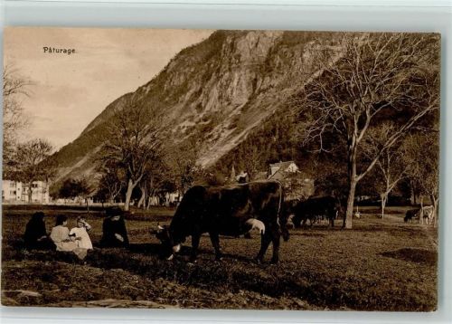 1924 Paturage - Familie mit Kühen auf der Weide AK