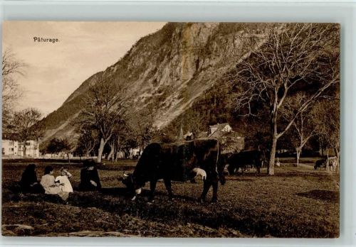 1917 Paturage - Familie macht Picknick, Kühe AK