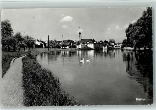 8953 Dietikon - Schwäne