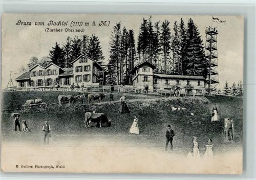 Bachtel 1906 Kühe Gänse Hund Aussichtsturm