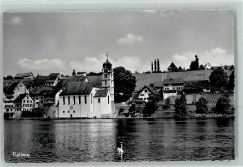 Eglisau Kirche Schwan