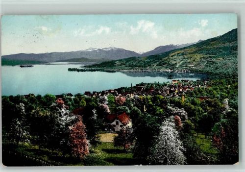 Richterswil Blick nach Richterswil Baumblüte