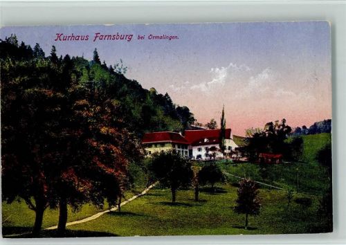 4466 Ormalingen - Kurhaus Farnsburg